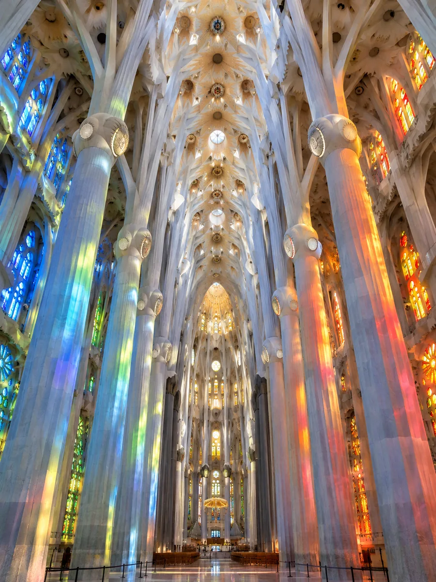 Die baumartigen Steinsäulen des Hauptschiffs, beleuchtet durch farbiges Licht aus den Buntglasfenstern